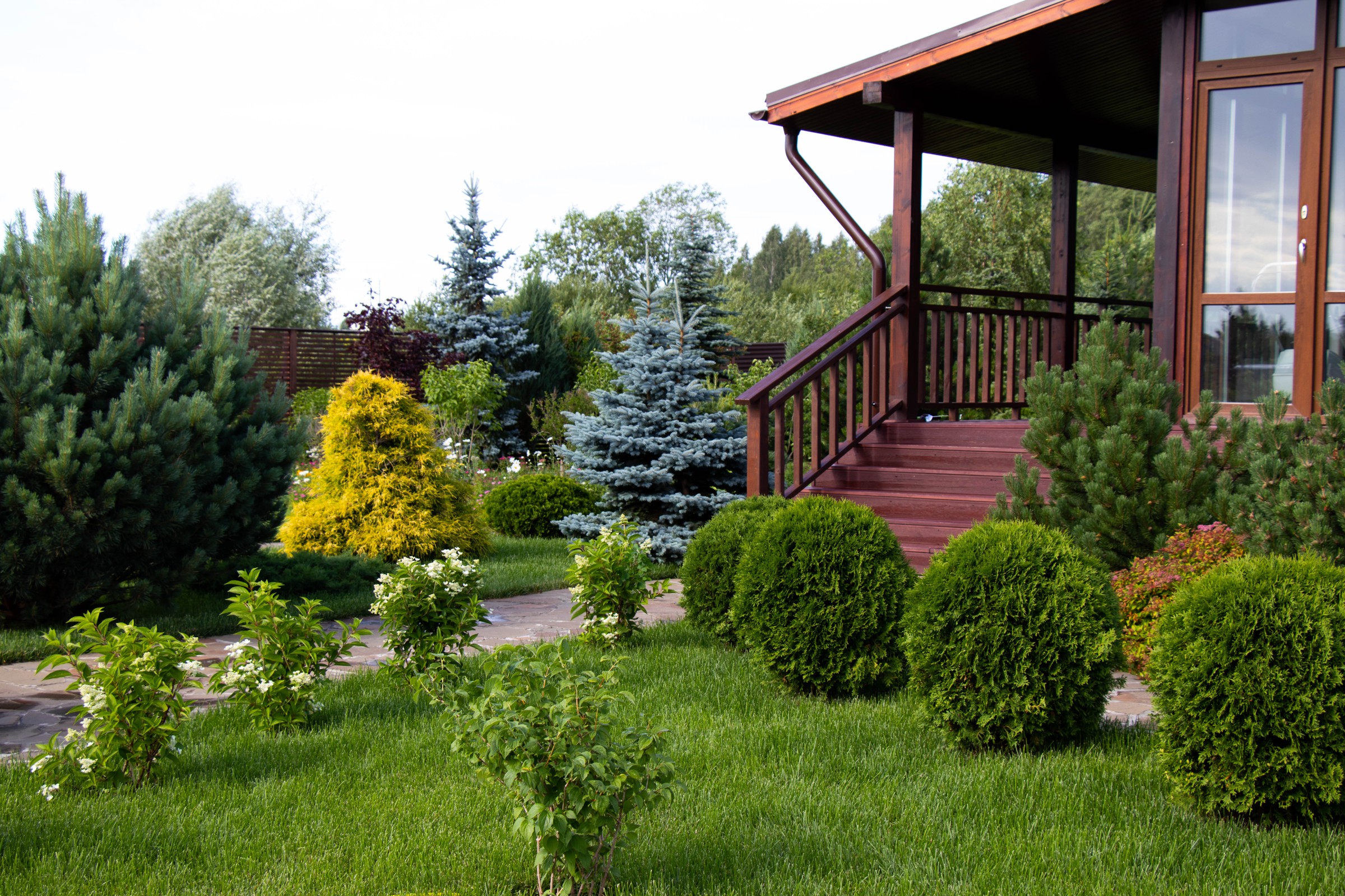 Обложка альбома: Мои идеи