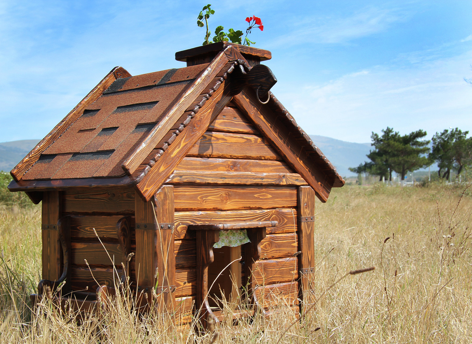 Будка для собаки с окошком и забором