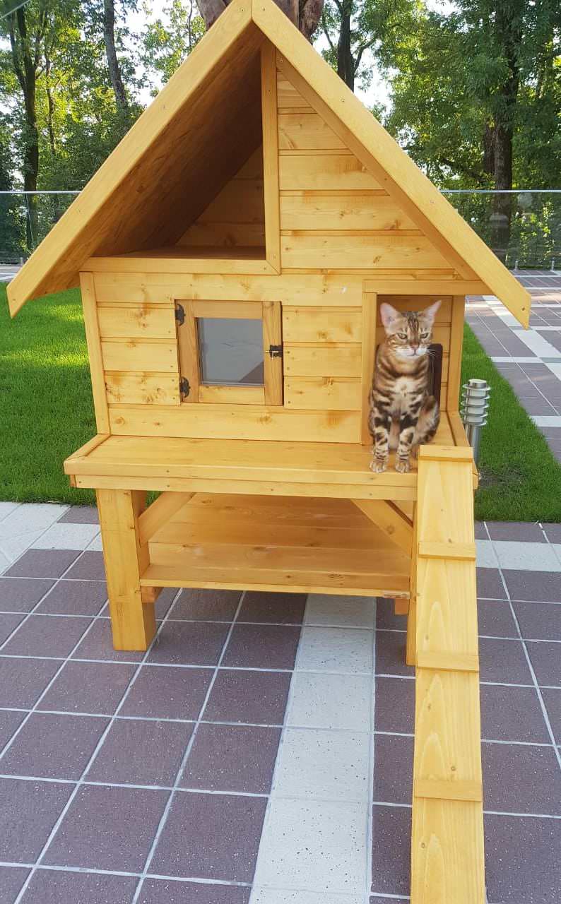 Алексей Boxdog