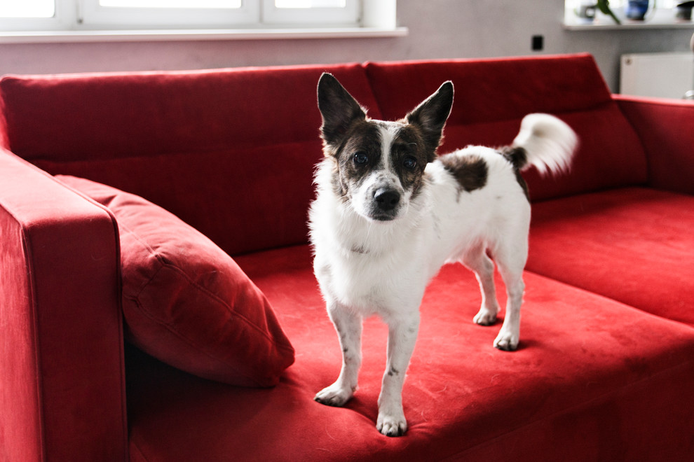 Ася/ Молодежная