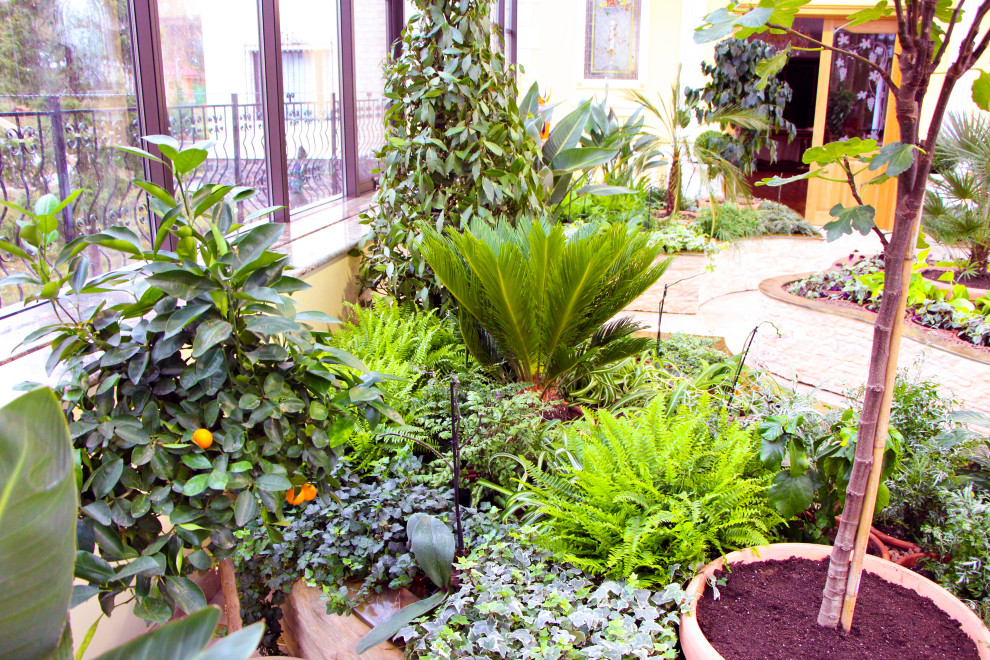 Мурманск, зимний сад