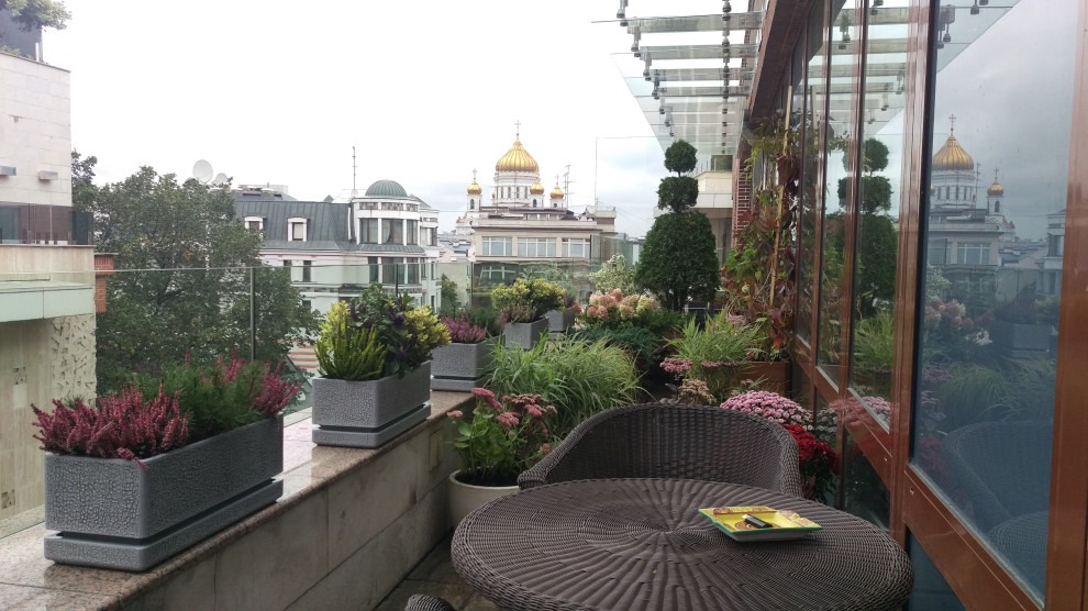 Сад на балконе