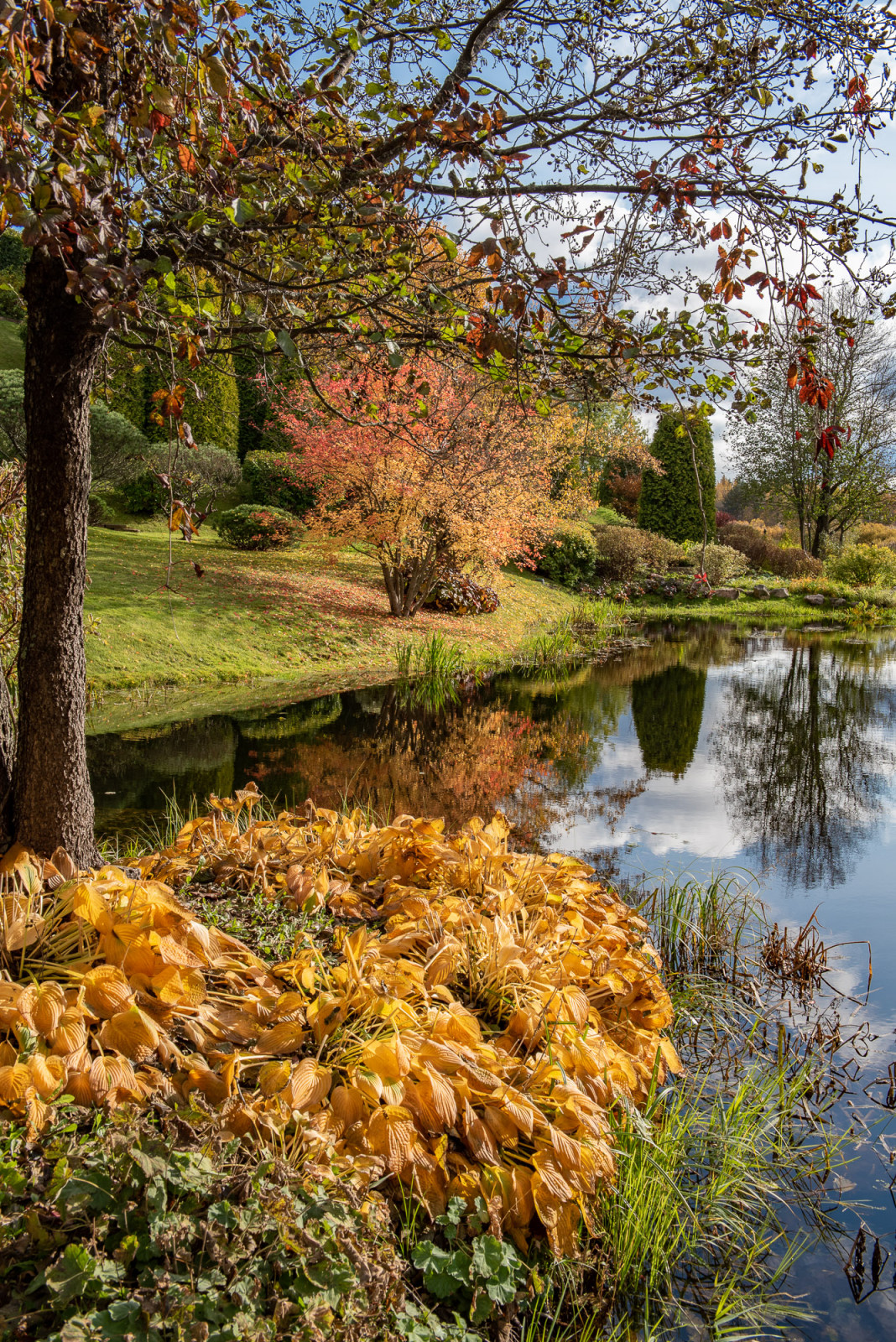 Ореховно. Музей-Усадьба.