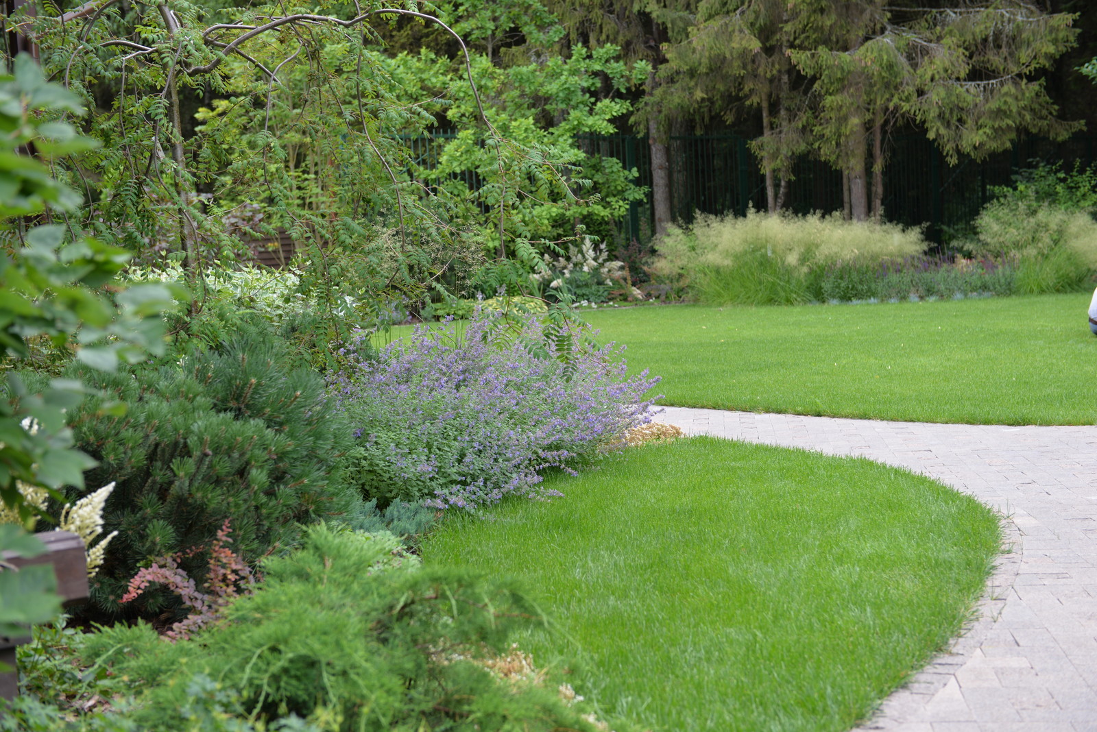 Духанино, 2015