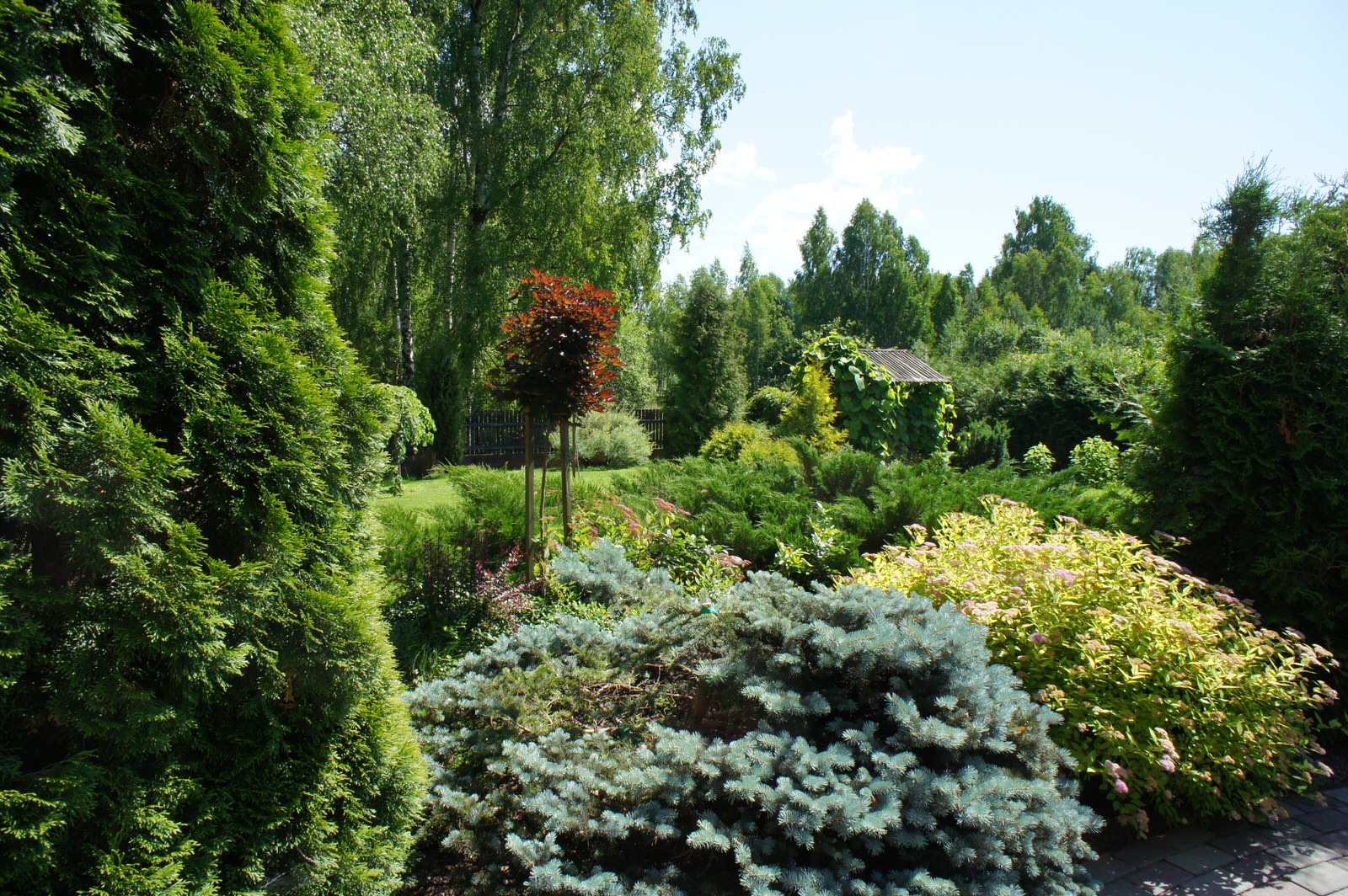 Дизайн-дебаты: Существуют ли недорогие ландшафтные стили