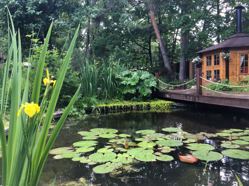 Белкин сад. Лето 2019