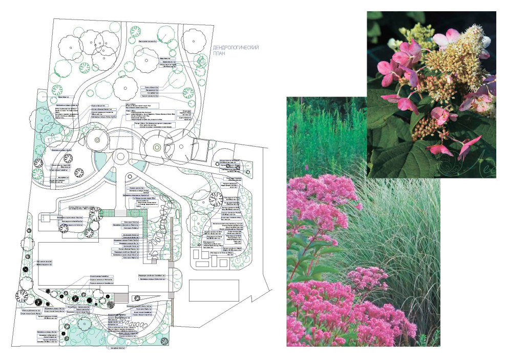 Дендрологический план.