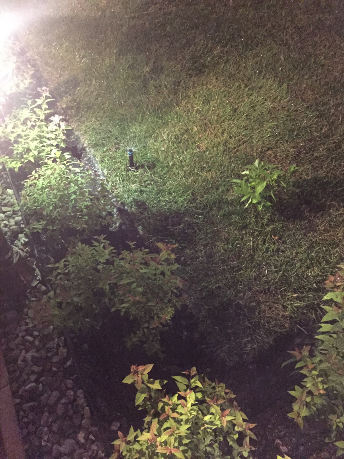 Системы автоматического полива