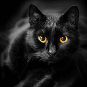 Софья Шубина