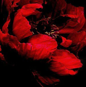 Татьяна Казакова