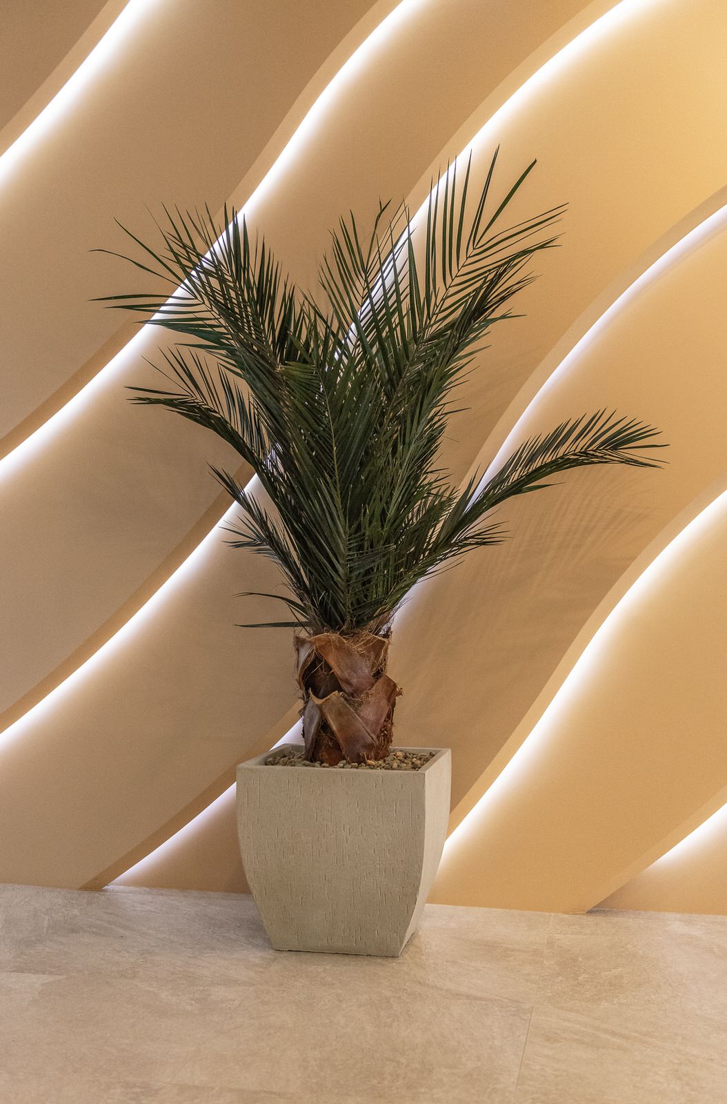 Дом с бассейном