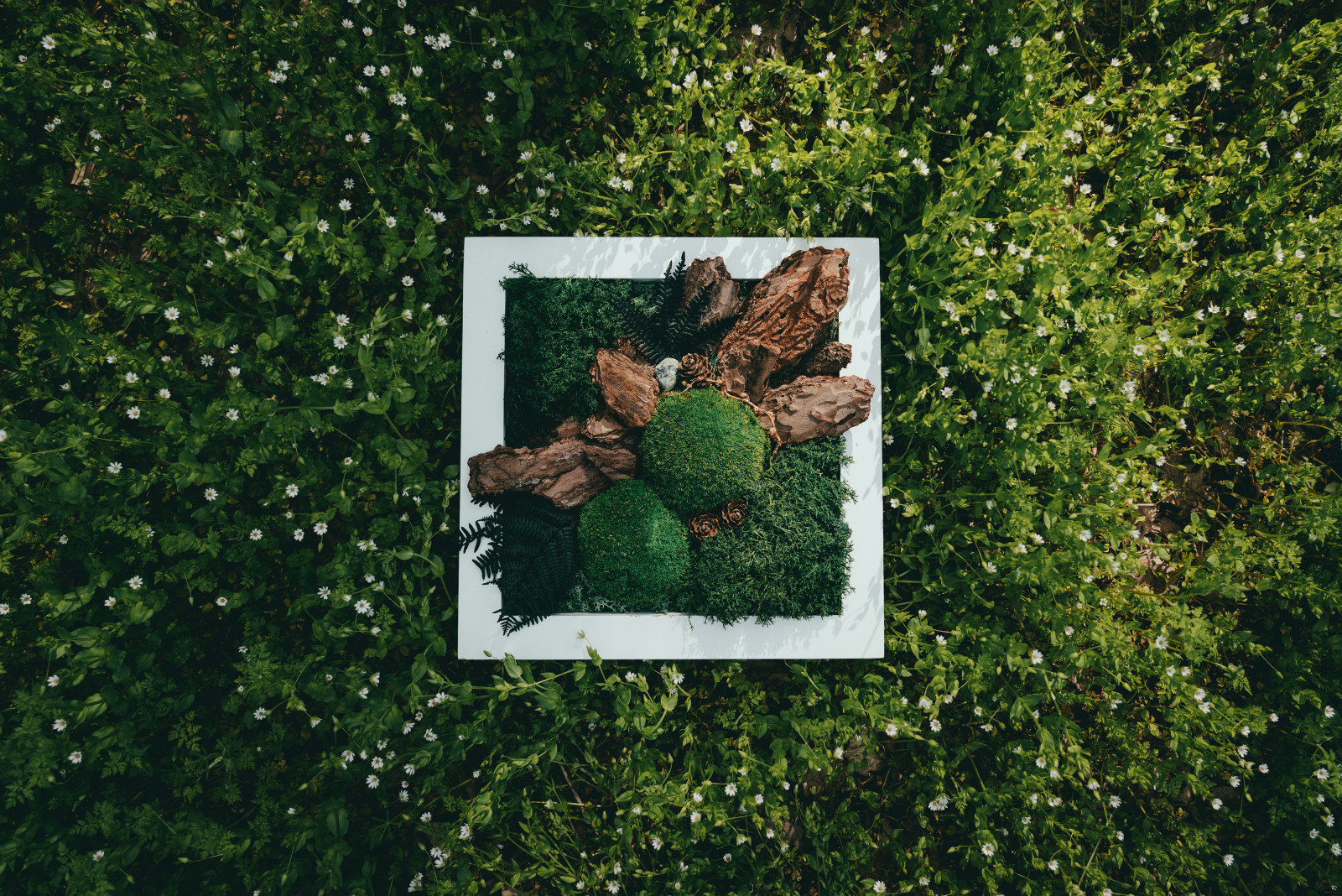 Stabilized Moss Panel