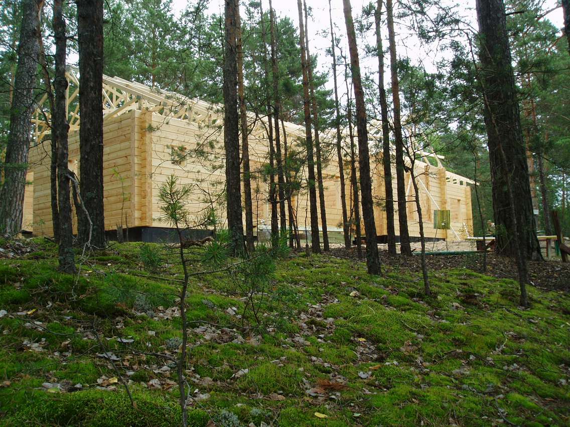 Обложка проекта: Объект «Сосновый».