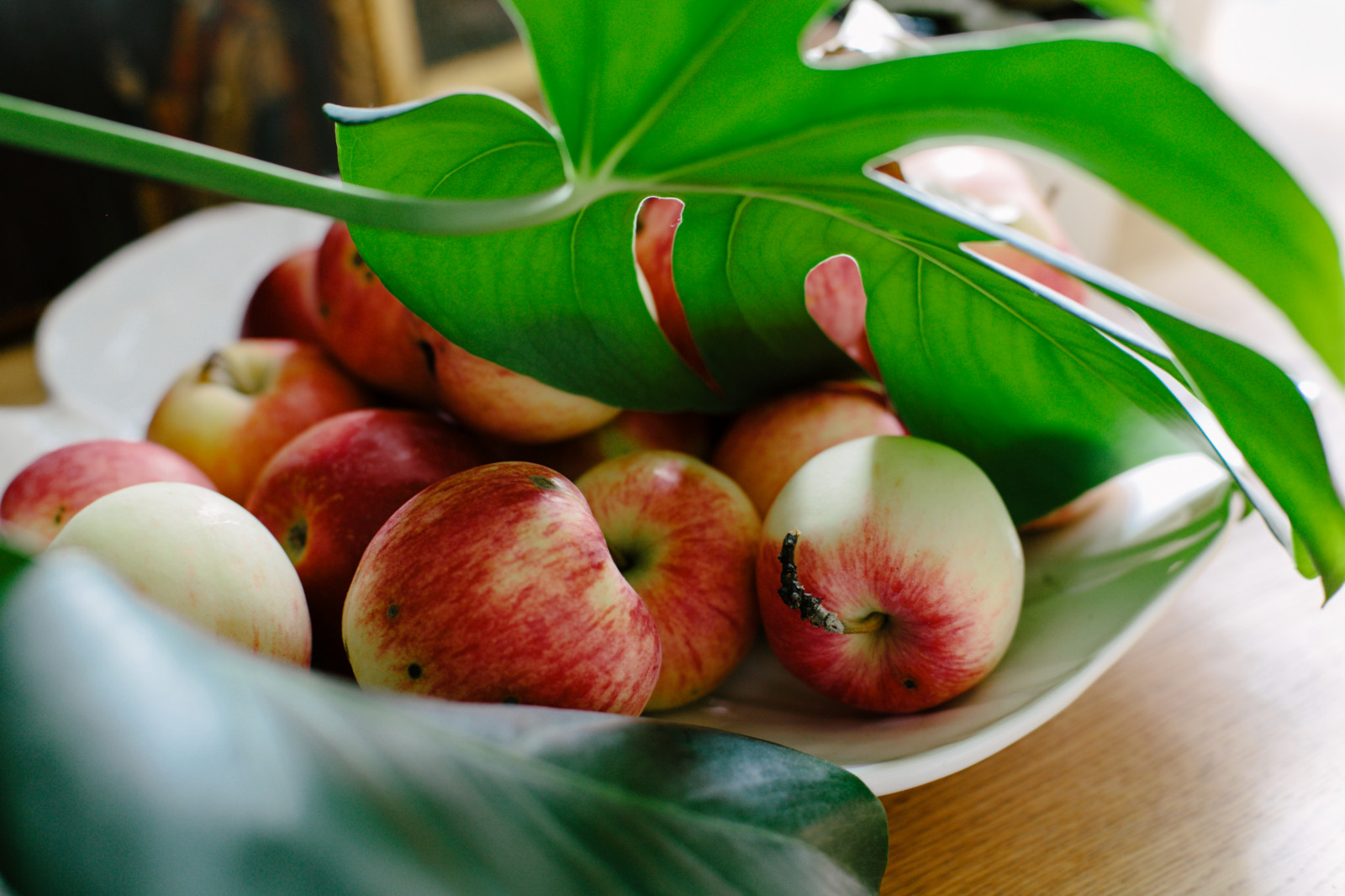 Интерьеры, которые я снимала