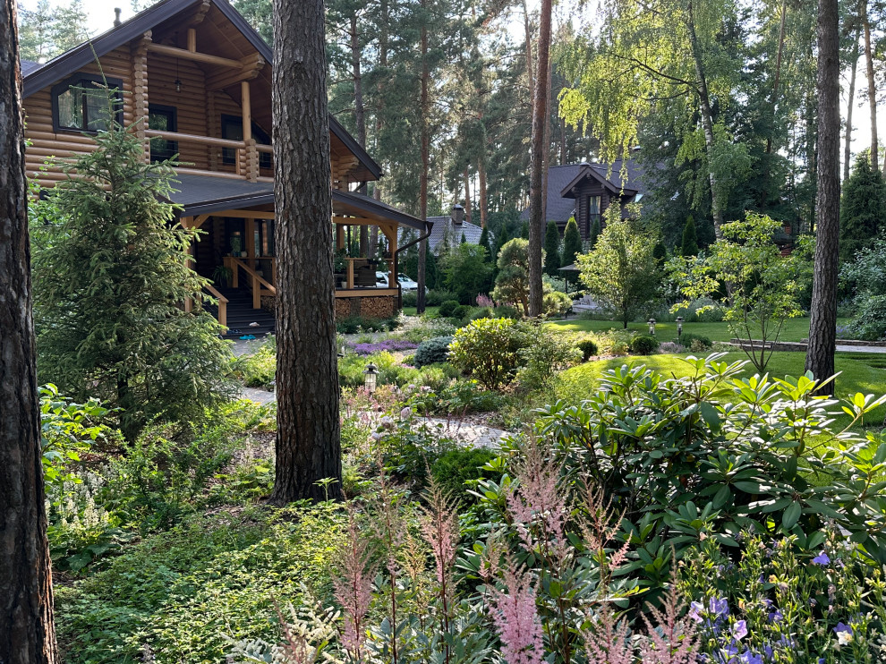 Заповедный Бор 2