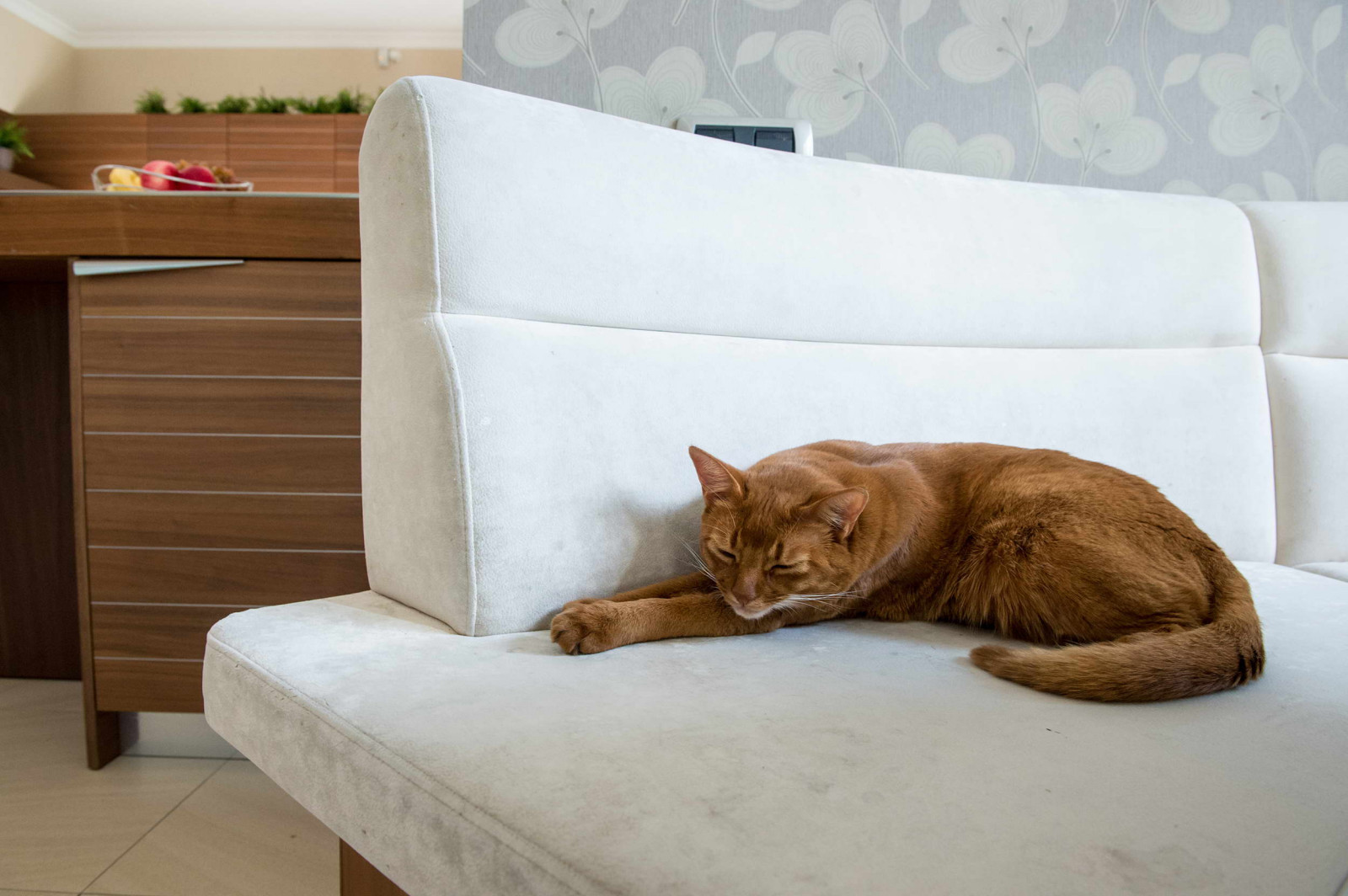 Обложка проекта: Открытое пространство кухни и гостиной