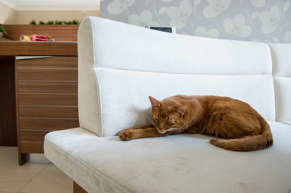 Обложка проекта: Открытое пространство кухни и гостиной