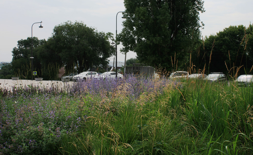 Цветники Советской площади