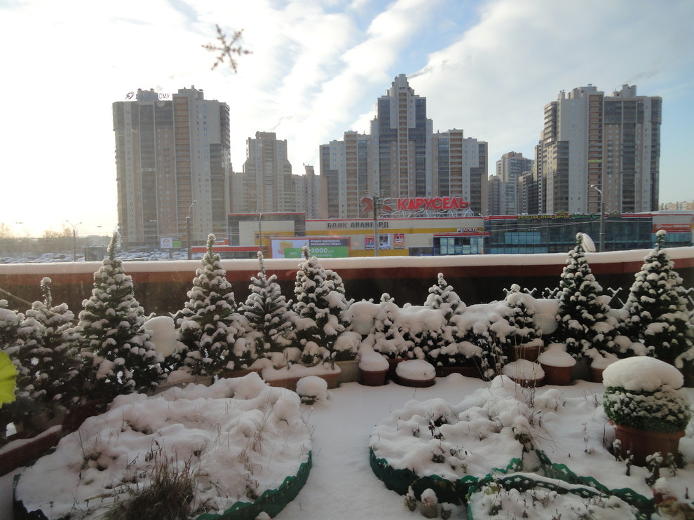 Обложка проекта: Сад на террасе