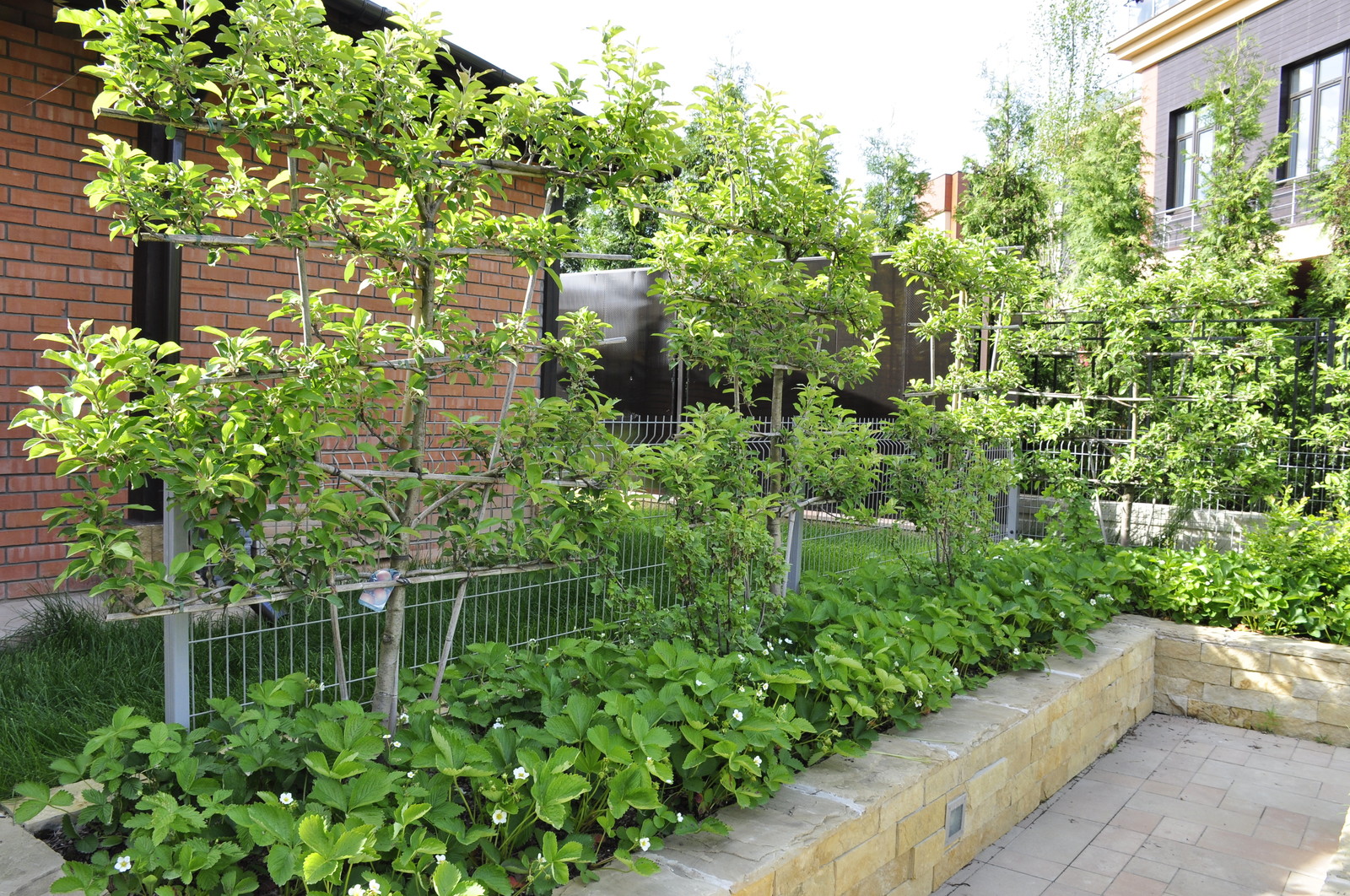 кп "Фортопс" - Профессиональный уход за садом - 100% качество!