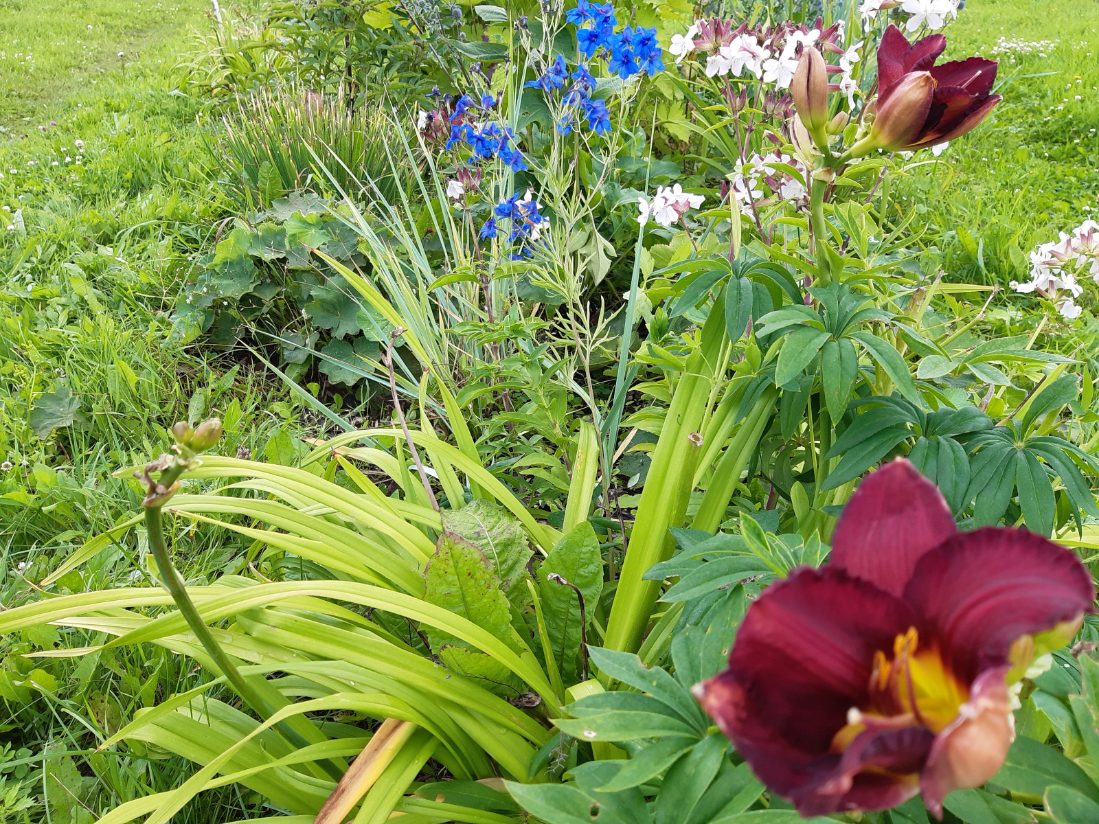 Миксбордер