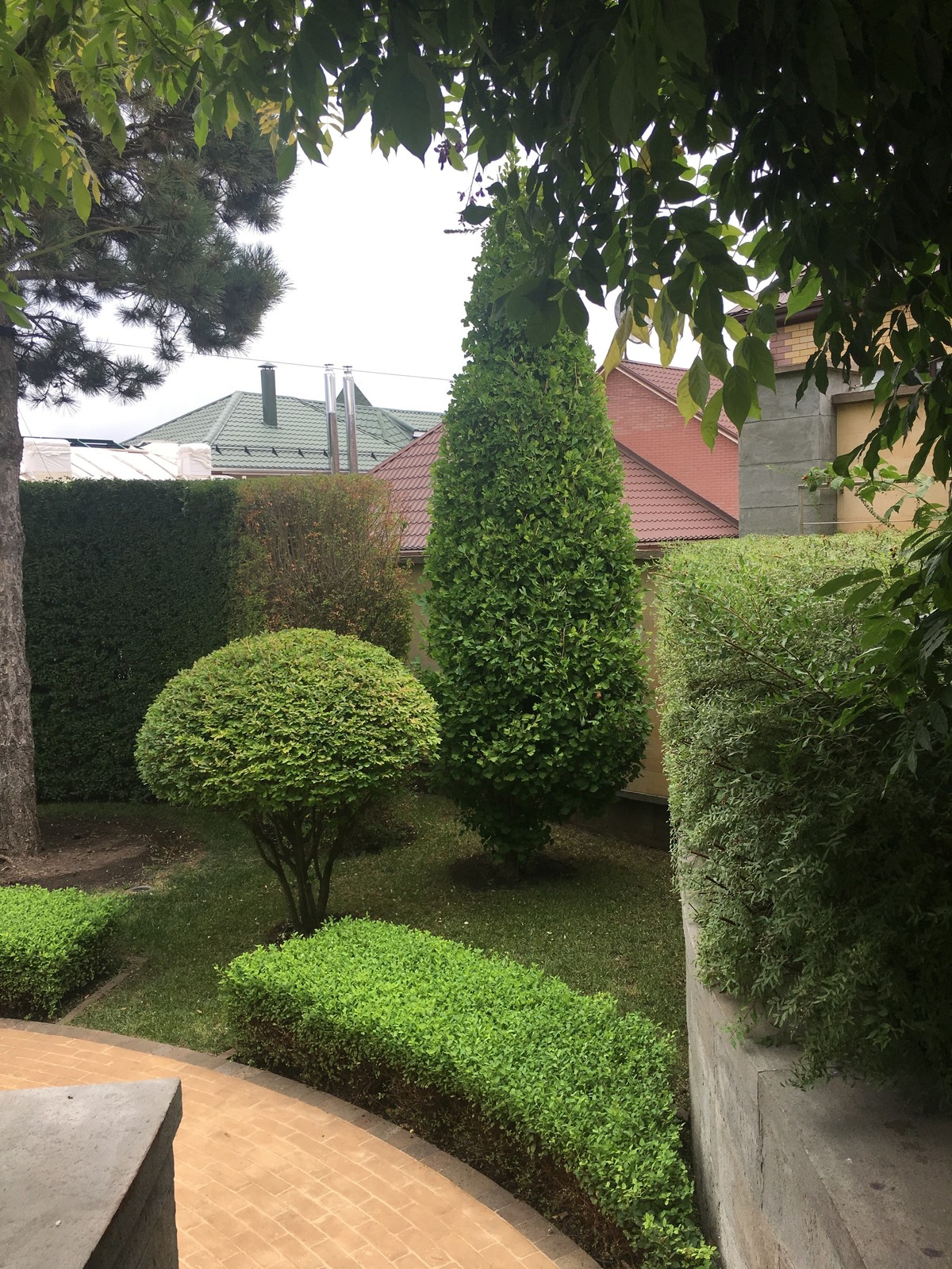 Итальянский сад с пиньями в городе