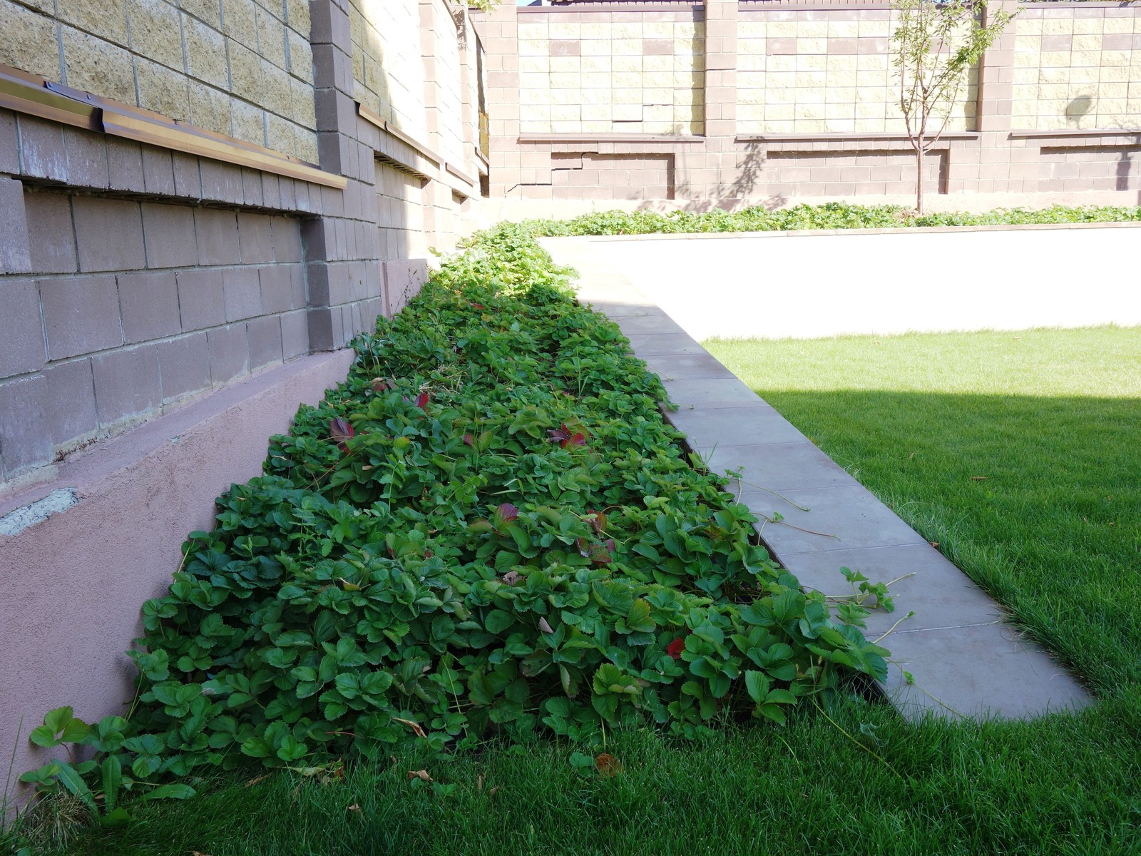 Системы автополива