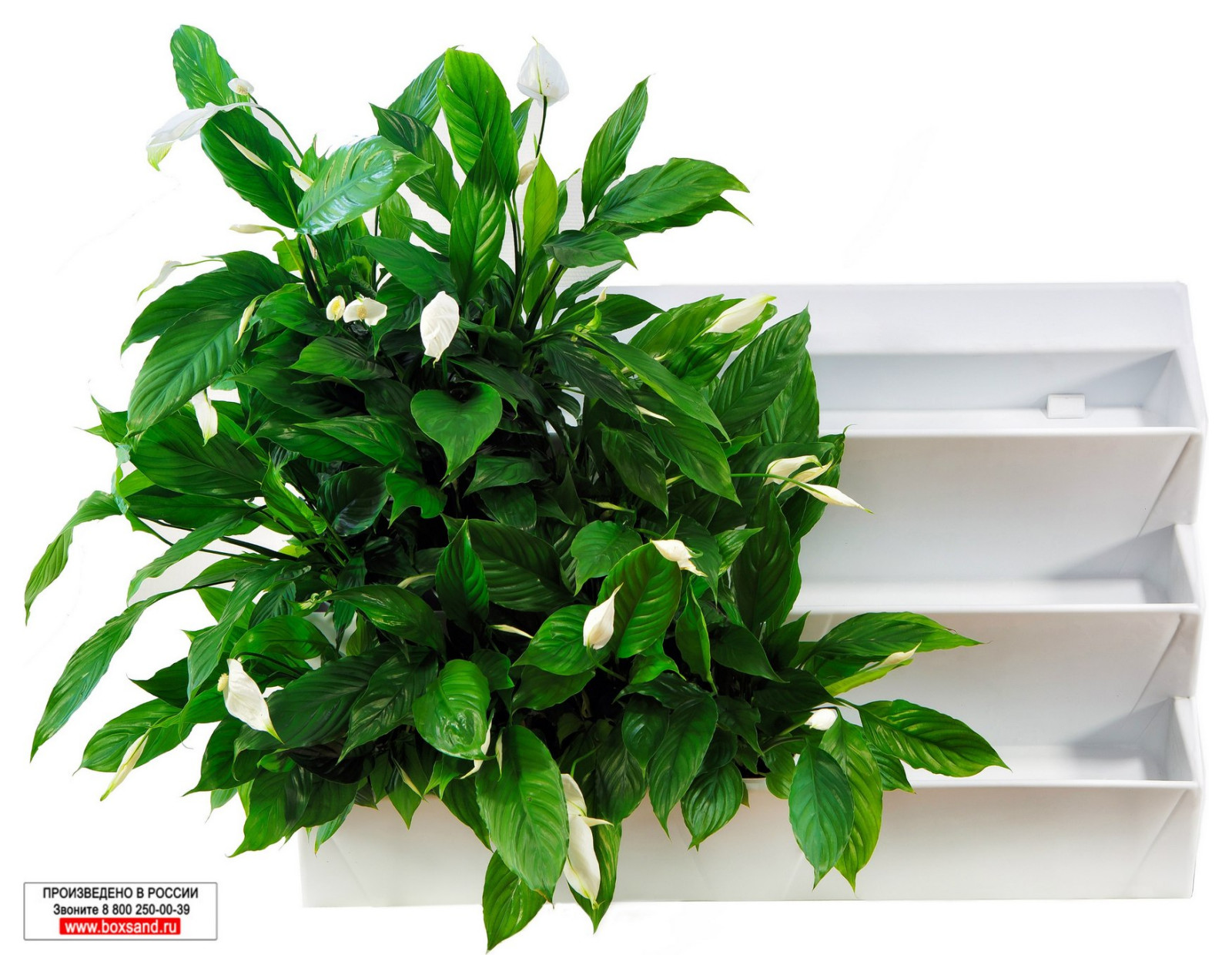 Обложка проекта: Альфа Банк