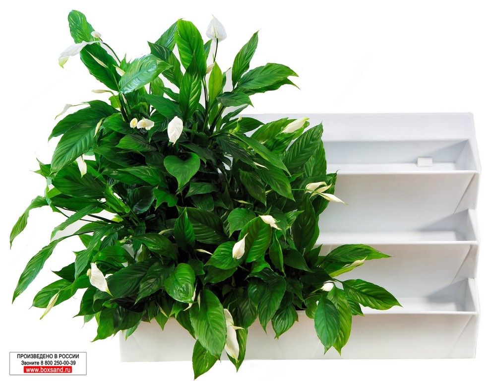 Обложка проекта: Альфа Банк