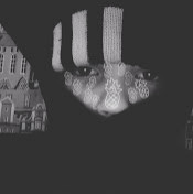 Глеб Куликов