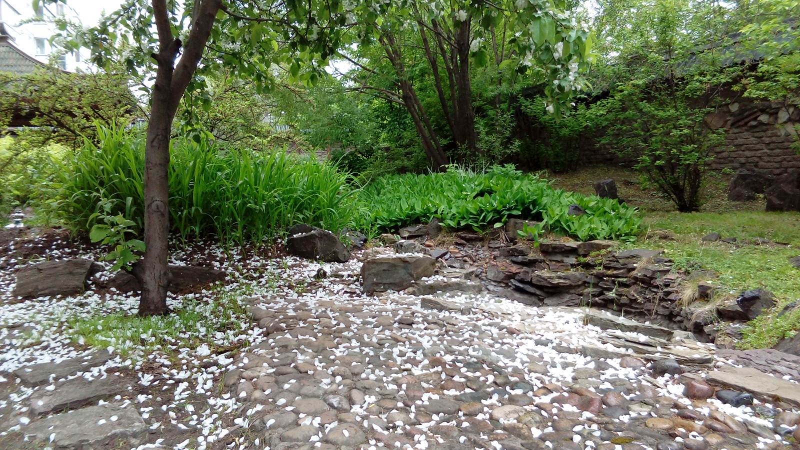 Сад в японском стиле