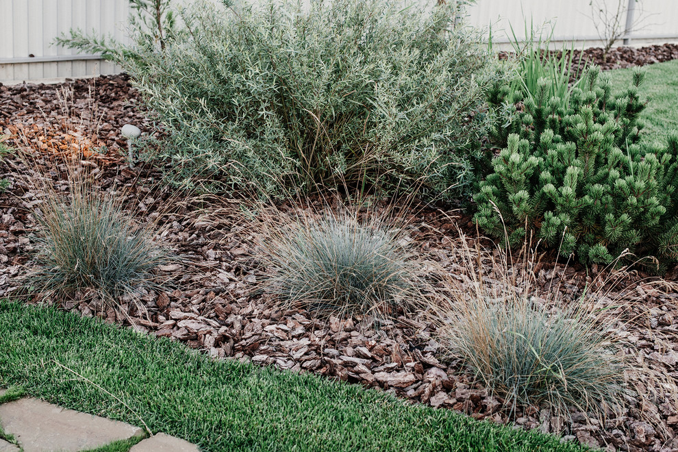 Агропустынь