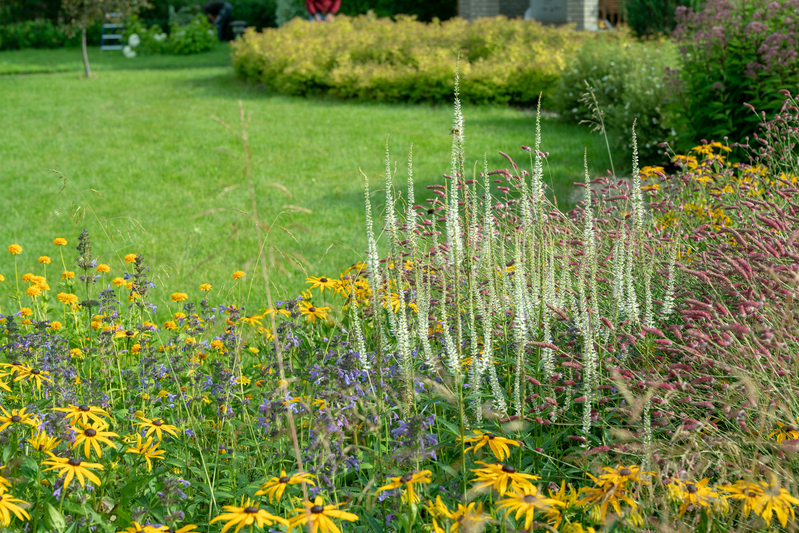 Проект Сада  в "Бельгийской деревне "