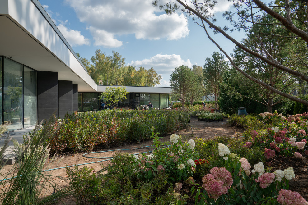 Антоновка. 30 соток. 2023 г.