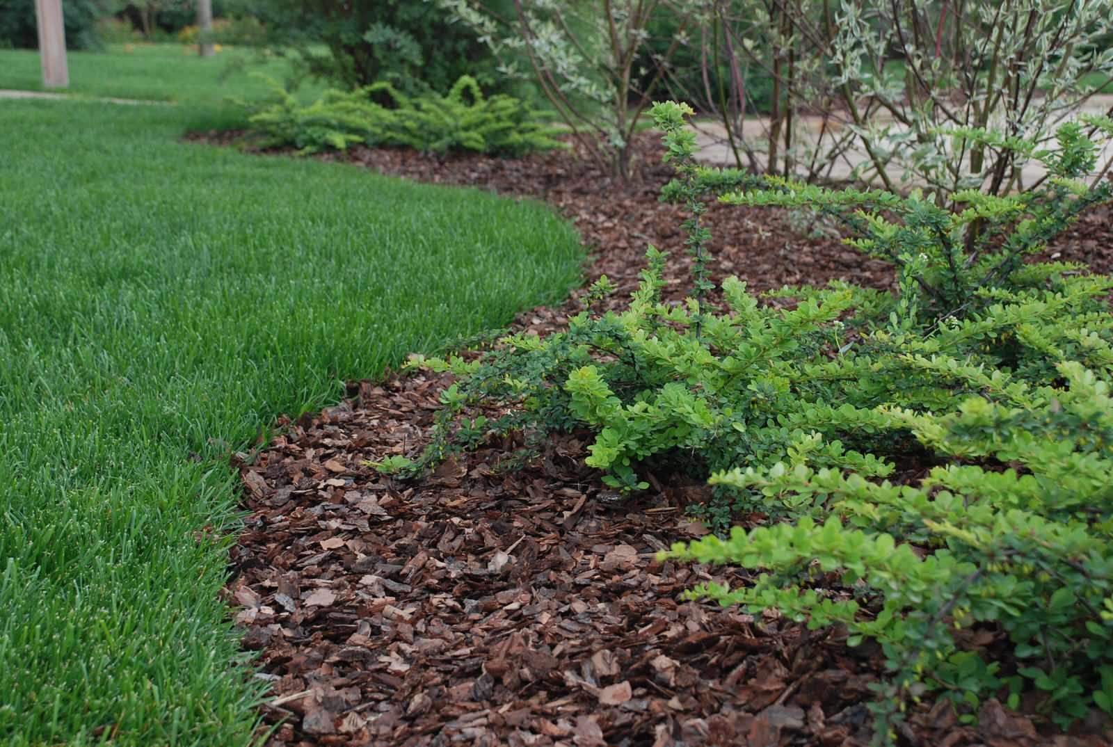 Как правильно: Спланировать цветник на садовом участке