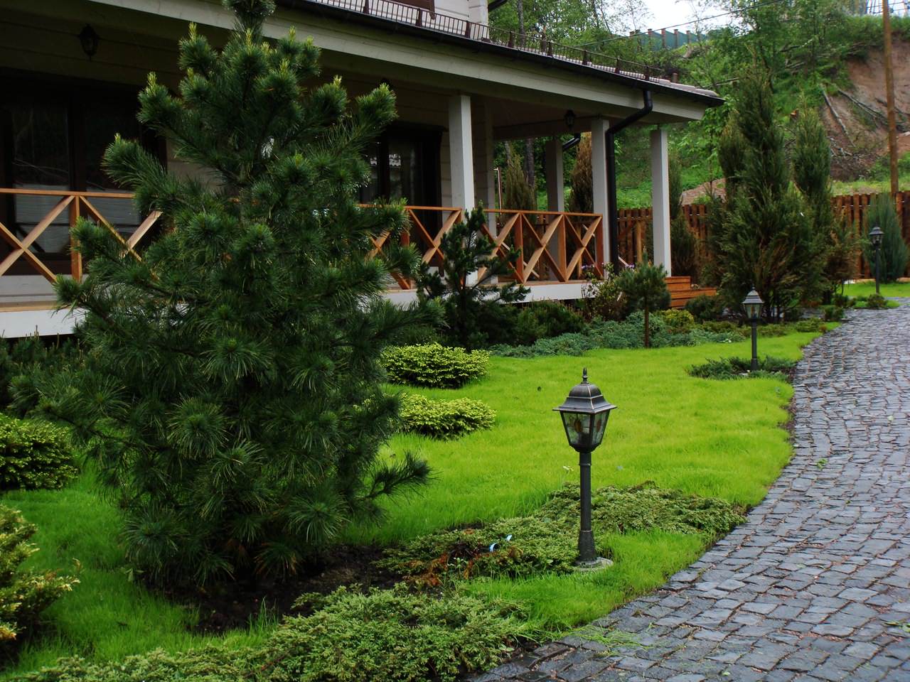 Побережье финского залива