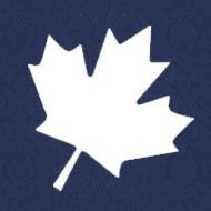 Фото профиля Konstantain Palamar