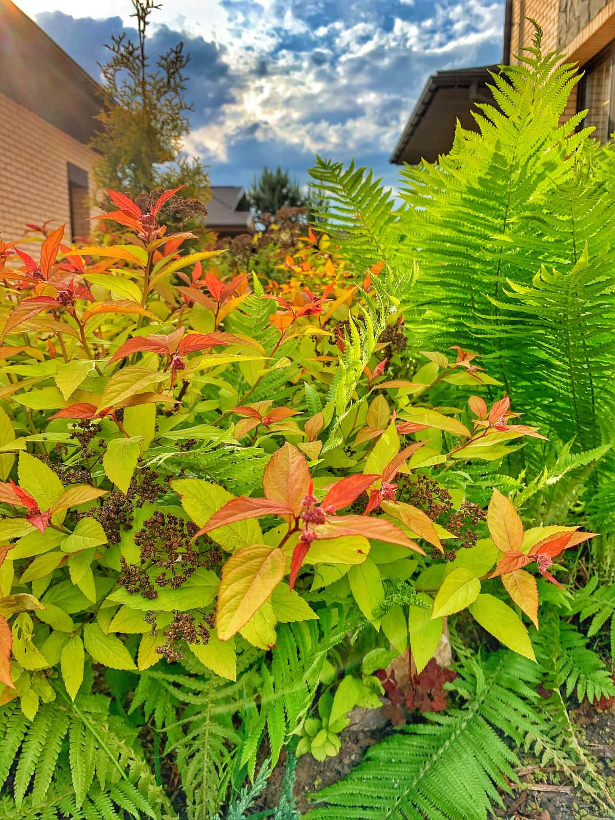 Ландшафтный дизайн в п. Молодёжный (Иркутск)