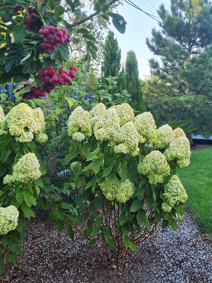 Обложка проекта: Дача в станице