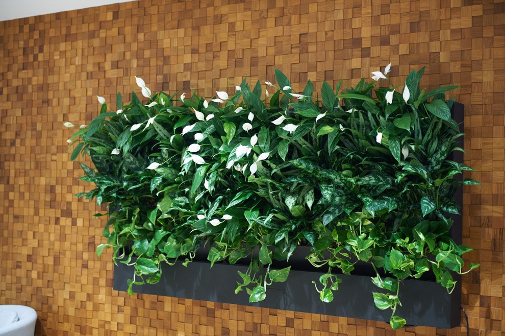 Обложка проекта: Так рождается красота