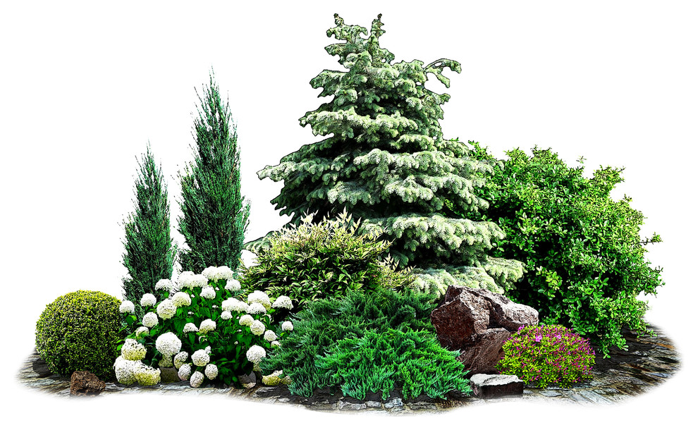 Обложка проекта: Ландшафтные модули