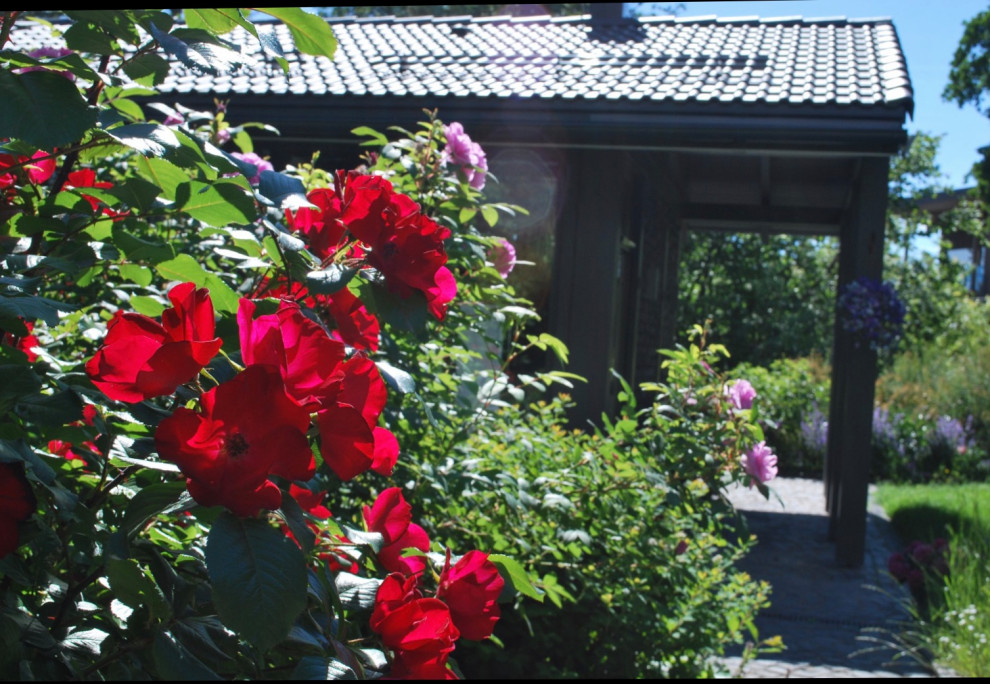 Сад натуралистического стиля