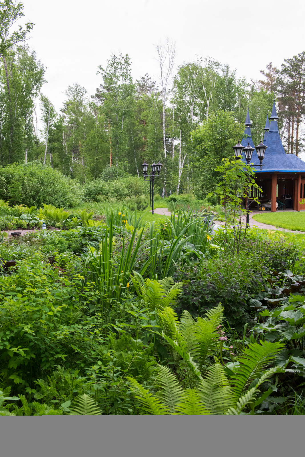 Обложка проекта: Дальний