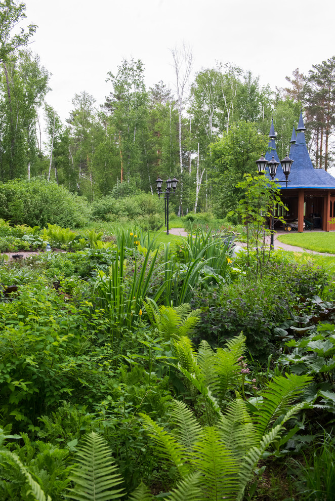 Обложка проекта: Дальний