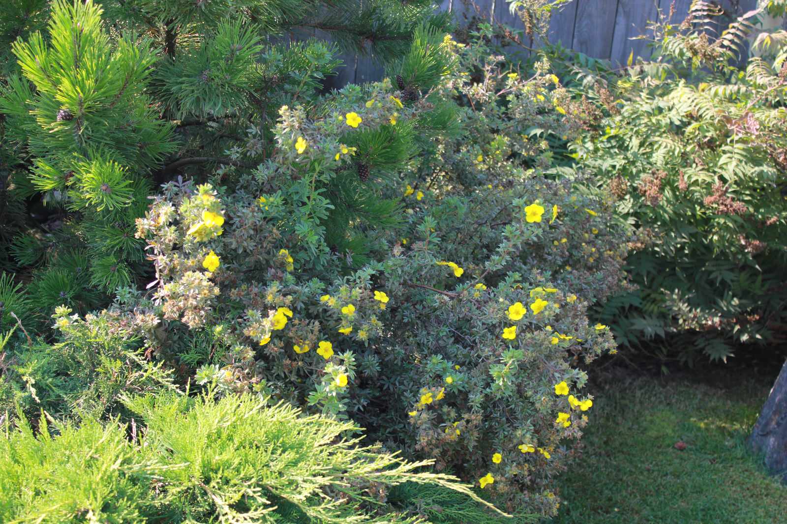 В гостях у Сказки