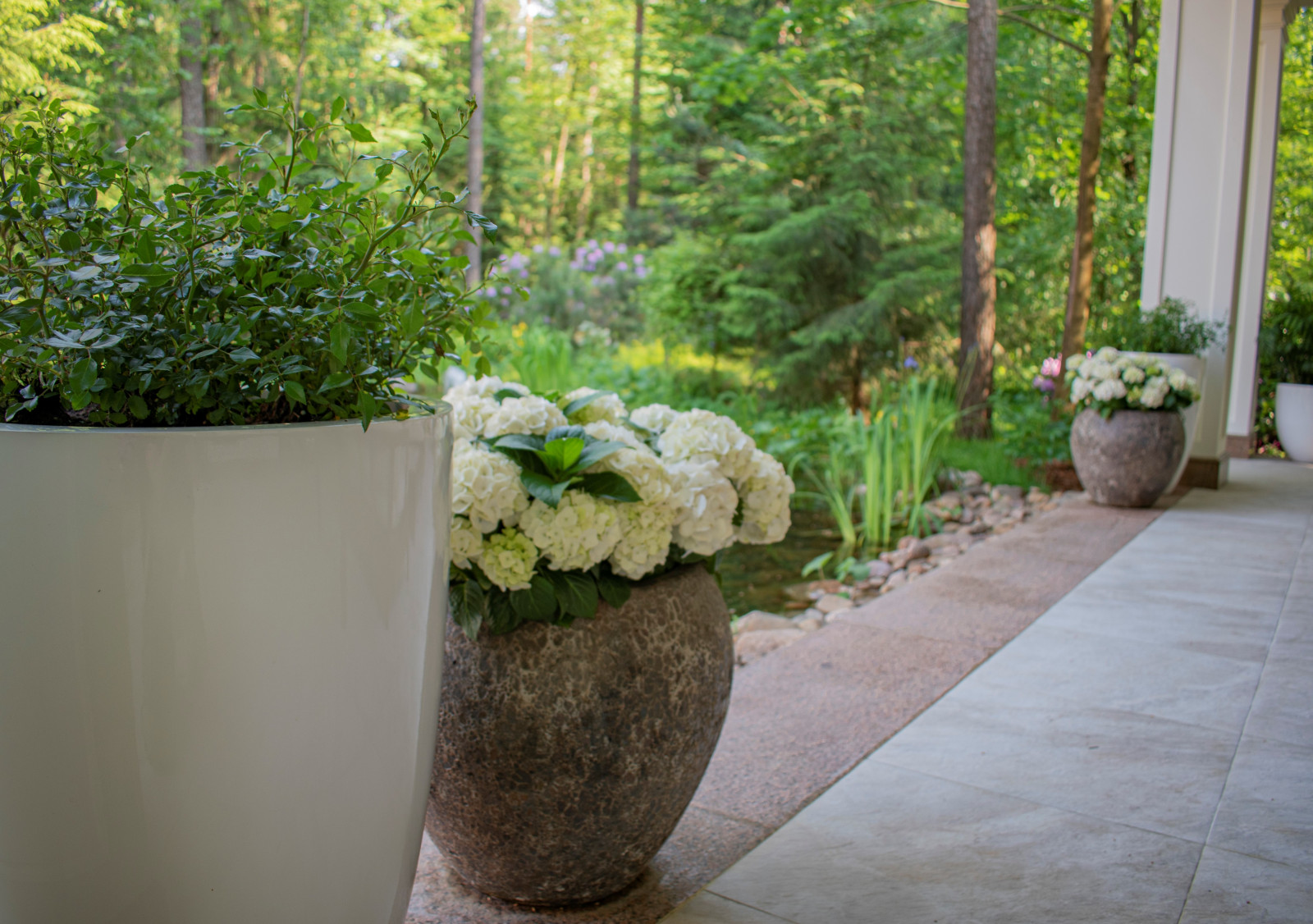 Обложка проекта: Тропическое озеленение террасы