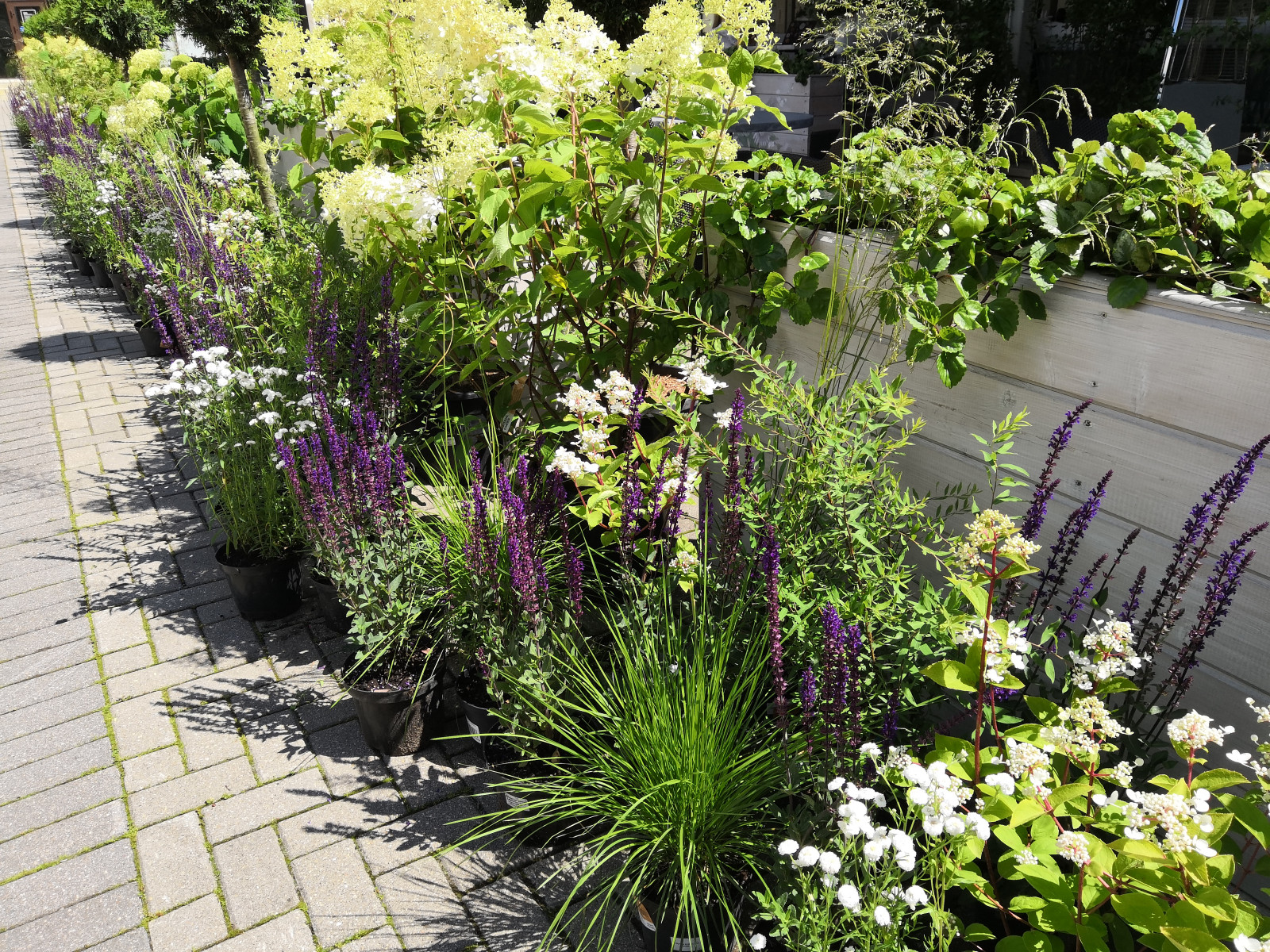 Обложка проекта: Event decoration