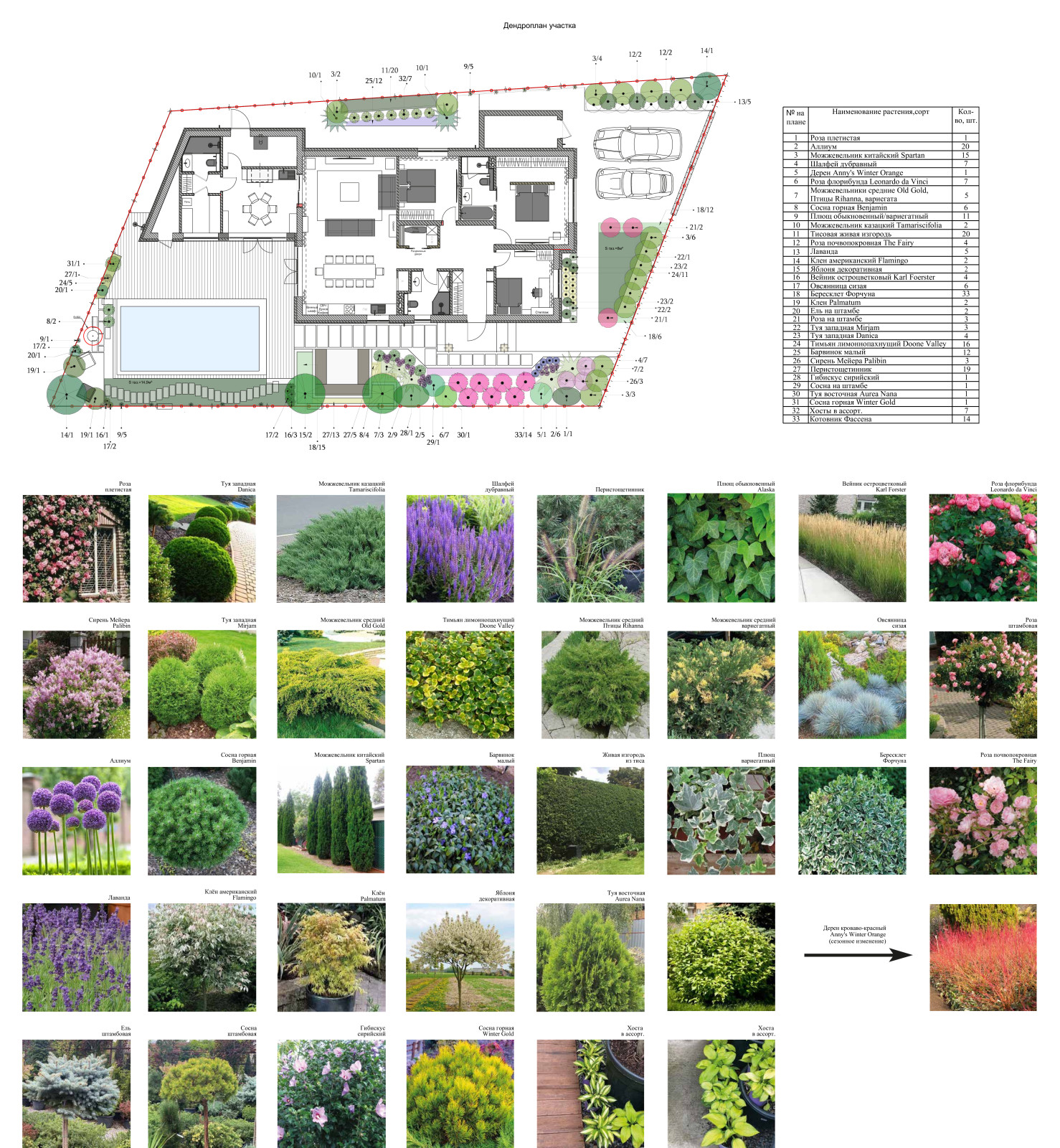 Обложка проекта: Частный сад "ДольчеВита"