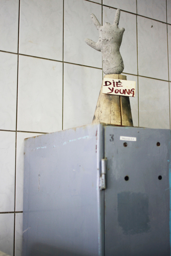 Портрет: Мебель для хвостатых питомцев от Pettel Design