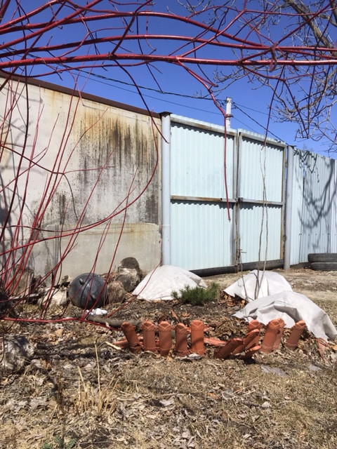 Проект благоустройства и озеленения